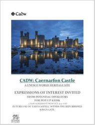 CADW: Caernarfon Castle - EXPRESSIONS OF INTEREST INVITED A UNESCO WORLD ...