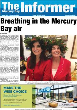 Breathing in the Mercury Bay air - Issue 926 - 1 December 2020 - The Mercury Bay Informer