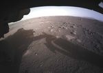 TOUCH DOWN! NASA'S MARS LANDING SPARKS NEW ERA OF EXPLORATION - Nature