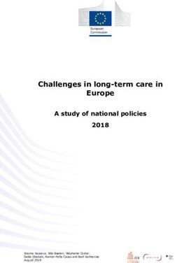 Challenges in long-term care in Europe A study of national policies 2018 - CITE