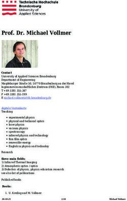 Prof. Dr. Michael Vollmer - Technische Hochschule ...