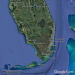 Florida Spring Migration & Specialities - 23rd April to 2nd May 2022 (10 days) - Rockjumper Birding