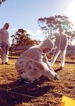 WESTERN SYDNEY UNIVERSITY - UNDERGRADUATE GUIDE 2022
