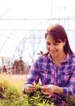 WESTERN SYDNEY UNIVERSITY - UNDERGRADUATE GUIDE 2022