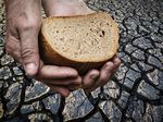 Bread Not Stones Taking Action to End Child Poverty