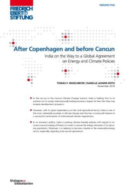 After Copenhagen and before Cancun - India on the Way to a Global Agreement on Energy and Climate Policies