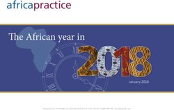 The African year in africapractice - Africa Practice