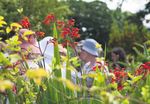 Blooming gardens and great houses - carlow garden trail - Woodford Dolmen Hotel