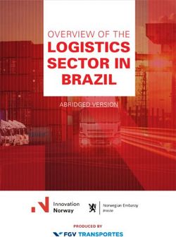 LOGISTICS SECTOR IN OVERVIEW OF THE - BRAZIL - Centro de Excel&ecirc;ncia em ...