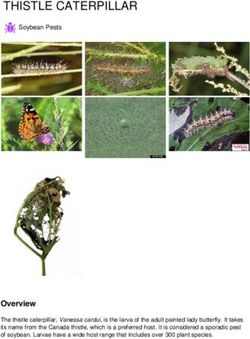 THISTLE CATERPILLAR - Soybean Research and Information Network