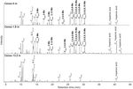 Novel hydrocarbon-utilizing soil mycobacteria synthesize unique mycocerosic acids at a Sicilian everlasting fire