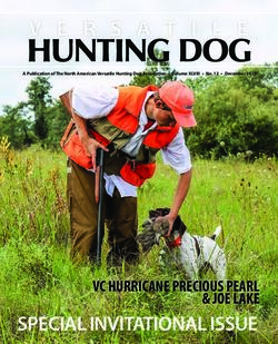 HUNTING DOG - SPECIAL INVITATIONAL ISSUE VC HURRICANE PRECIOUS PEARL & JOE LAKE - NAVHDA