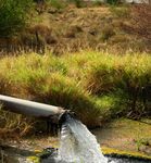Communities of the Barcaldine Regional Council - Alpha Jericho Barcaldine Aramac Muttaburra