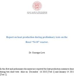 Report on heat production during preliminary tests on the Rossi "Ni-H" reactor.