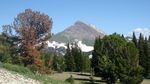 Yellowstone Grizzly Bear Investigations 2011 - Report of the Interagency Grizzly Bear Study Team - National Park ...