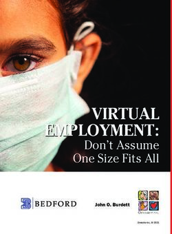 VIRTUAL EMPLOYMENT: Don't Assume One Size Fits All - John O. Burdett - Bedford Consulting Group
