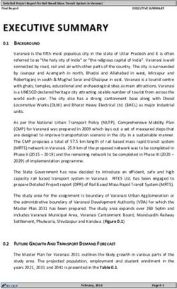 EEXXEECCUUTTIIVVEE SSUUMMMMAARRYY - 0.1 BACKGROUND - Varanasi Development Authority ...