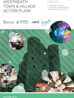 WESTMEATH TOWN & VILLAGE ACTION PLANS - Delvin - Delvin Village