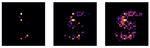 LassoNet: A Neural Network with Feature Sparsity - Journal of ...
