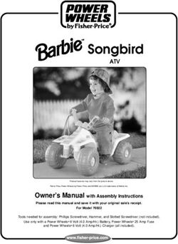 Songbird ATV - Mattel Service