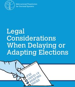 Legal Considerations When Delaying or Adapting Elections