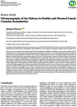 Review Article Ultrasonography of the Kidneys in Healthy and Diseased Camels (Camelus dromedarius)