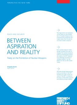 BETWEEN ASPIRATION AND REALITY - Treaty on the Prohibition of Nuclear Weapons - Bibliothek der Friedrich-Ebert-Stiftung