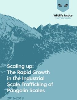 Scaling up: The Rapid Growth in the Industrial Scale Trafficking of Pangolin Scales 2016-2019