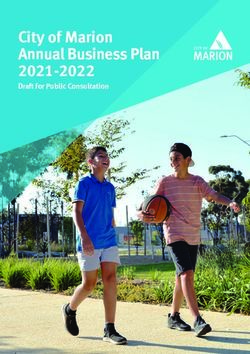 marion annual business plan