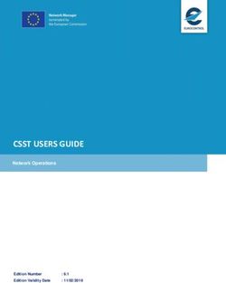 CSST USERS GUIDE - Eurocontrol