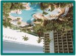 PARADISE - OF NEONATOLOGISTS 34th Please join us for - Southeastern Association of Neonatologists