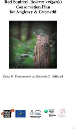 Red Squirrel (Sciurus vulgaris) Conservation Plan for Anglesey & Gwynedd - Craig M. Shuttleworth & Elisabeth C. Halliwell