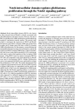 Notch intracellular domain regulates glioblastoma proliferation through the Notch1 signaling pathway