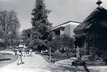Mount Saint Mary's University | Los Angeles mount - magazine Spring 2021 - Mount Saint Mary's University