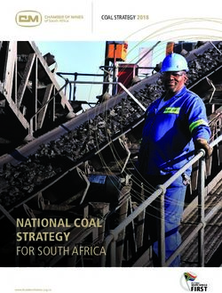 NATIONAL COAL STRATEGY FOR SOUTH AFRICA - COAL STRATEGY 2018 - Minerals Council South Africa
