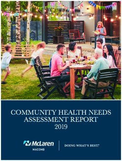 COMMUNITY HEALTH NEEDS ASSESSMENT REPORT 2019 - MCLAREN ...