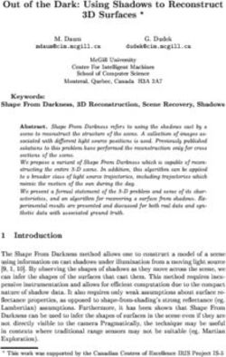 Out of the Dark: Using Shadows to Reconstruct D Surfaces ?
