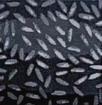 An Improved Cuckoo Search Algorithm for Multithreshold Image Segmentation