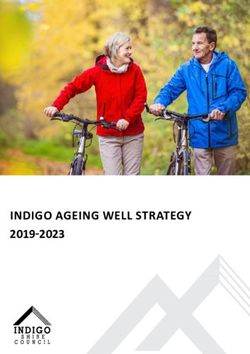 INDIGO AGEING WELL STRA TEGY 2019-2023 - INDIGO SHIRE
