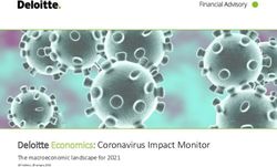 Deloitte Economics: Coronavirus Impact Monitor - The macroeconomic landscape for 2021