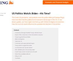 US Politics Watch: Biden - His Time? - ING Think