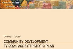 COMMUNITY DEVELOPMENT FY 2021-2025 STRATEGIC PLAN - October 7, 2019 - Town of ...