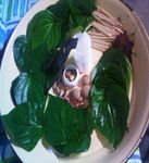 The Analysis of Food Symbols in the 'Serarang' Ritual of the Melanau in Dalat, IJICC