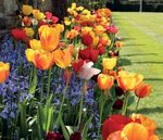 Groups & Travel Trade Guide - Discover more at hevercastle.co.uk/groups