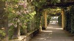 Groups & Travel Trade Guide - Discover more at hevercastle.co.uk/groups