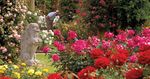 Groups & Travel Trade Guide - Discover more at hevercastle.co.uk/groups