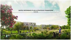 UNITEC REFERENCE PLAN & STRATEGIC FRAMEWORK - JUNE 2020