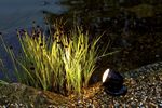 Product Range 2021 Pumps Maintenance Illumination/Solar Decoration Pond Construction - Pontec