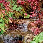 Product Range 2021 Pumps Maintenance Illumination/Solar Decoration Pond Construction - Pontec