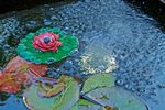 Product Range 2021 Pumps Maintenance Illumination/Solar Decoration Pond Construction - Pontec
